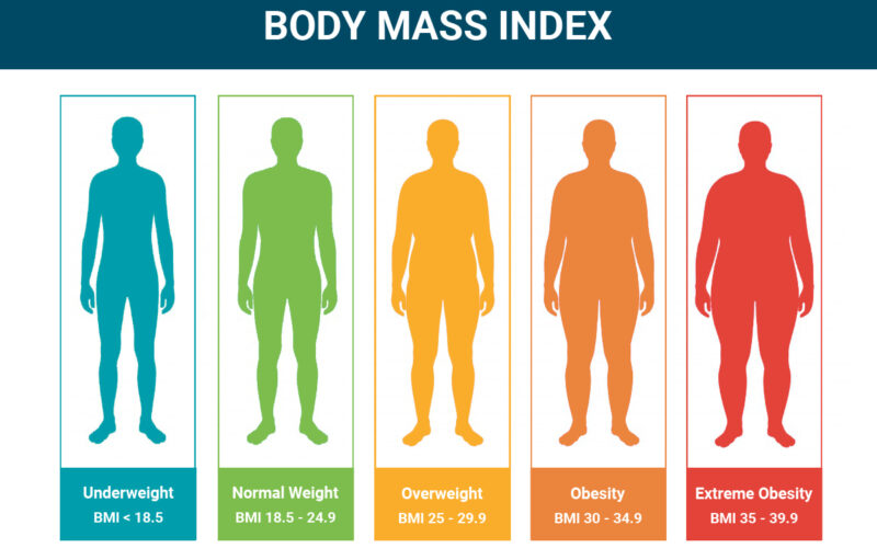 What is Body Mass Index (BMI) and How to Calculate It? – Inside Globex